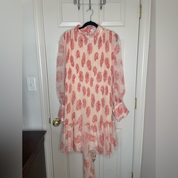 Sante Grace Pink Floral Sheer Pleated Ruffle Mini Dress Size 4X - Picture 1 of 11
